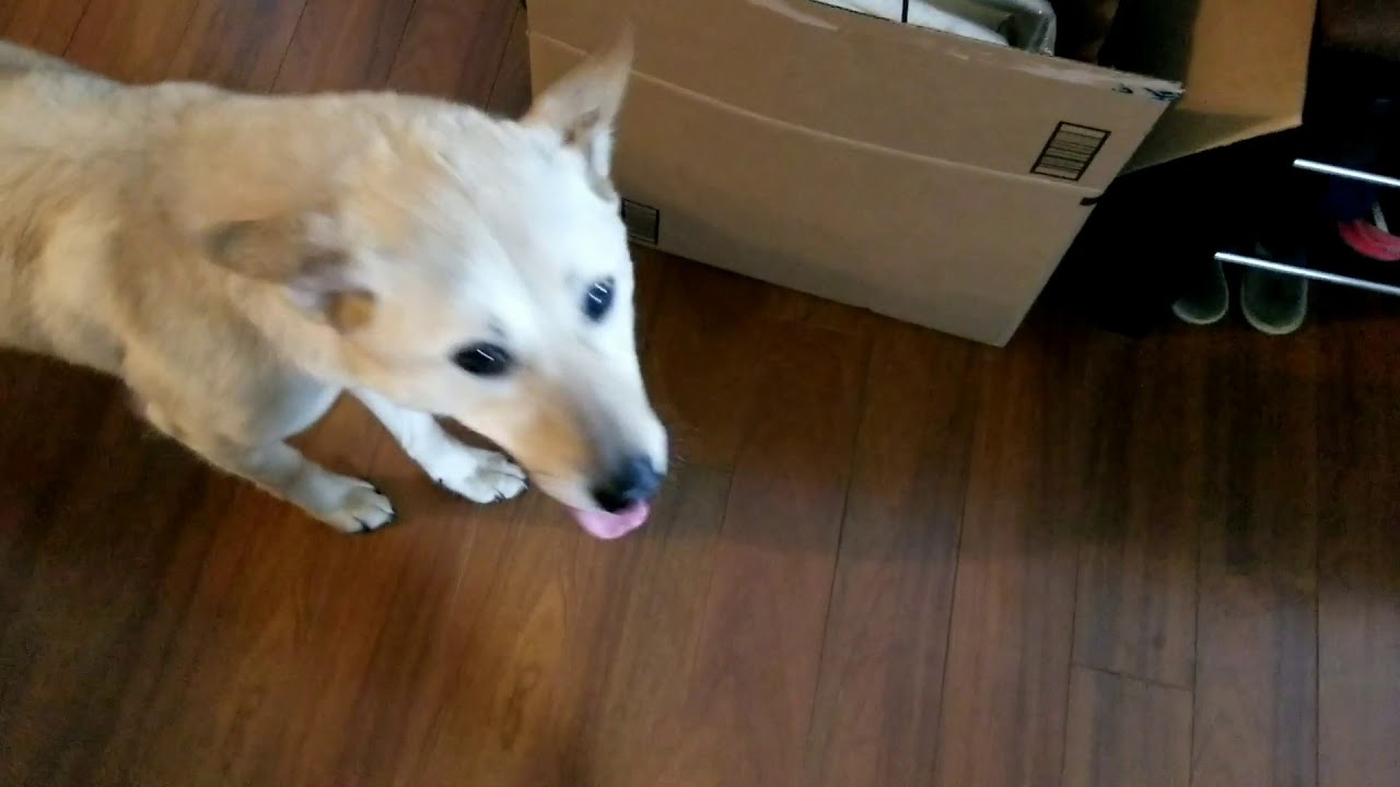 first day home and exploring