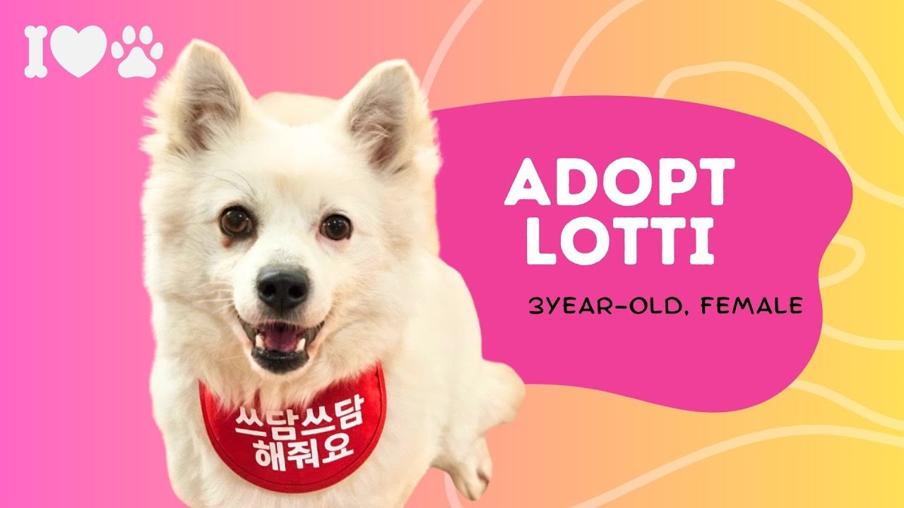 Adopt Lotti 2