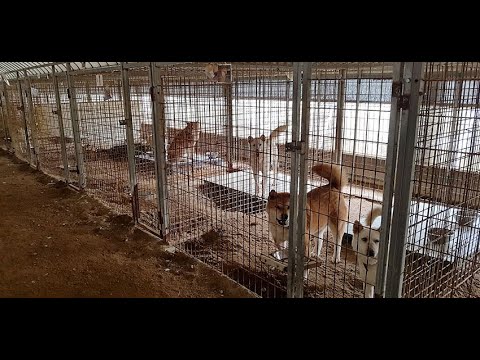 A shelter in Korea