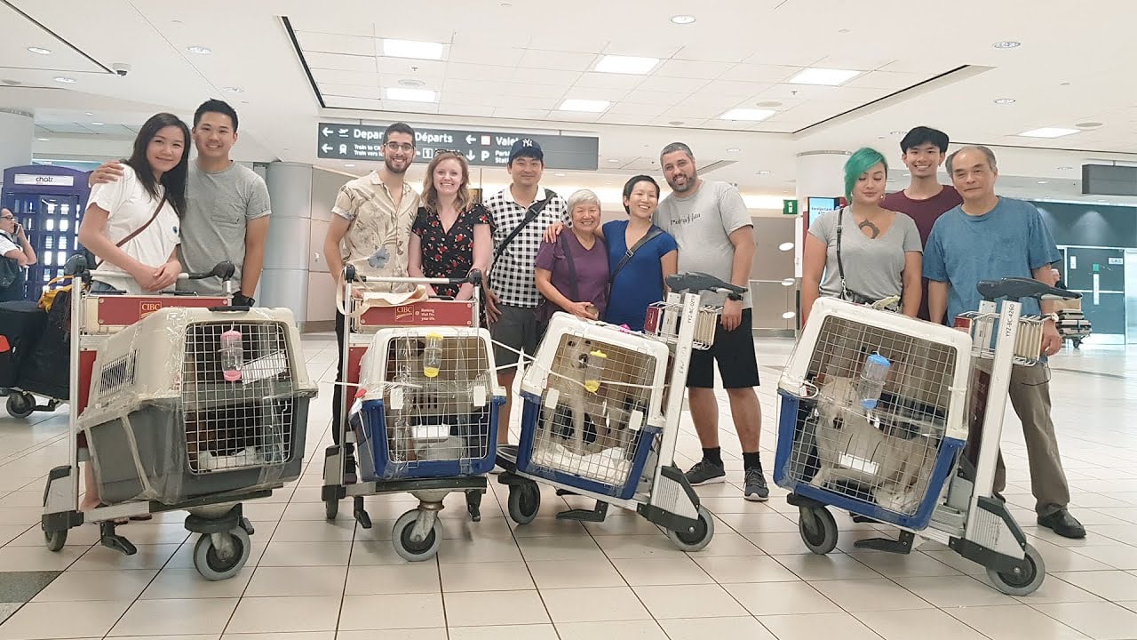 Journey from Cruelty to Compassion