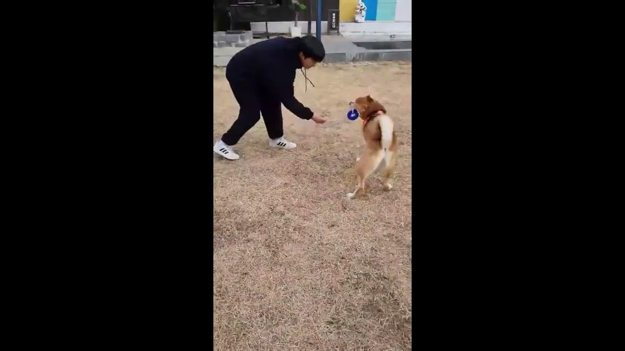 Adopt Inkyung 2