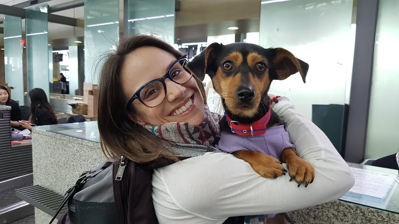 Figure Skating, Winning Medals, and Saving Korean Dogs