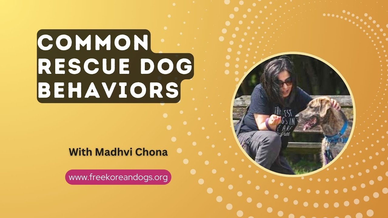 Common Rescue Dog Behaviors with Madhvi Chona