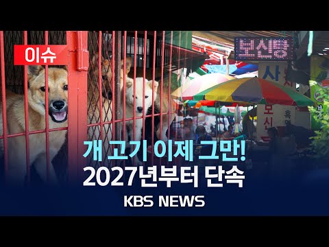 [이슈] '개 식용 금지' 특별법 올해 안에 추진…2027년부터 도살·유통·판매 단속/2023년 11월 18일(토)/KBS