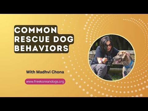 Common Rescue Dog Behaviors with Madhvi Chona