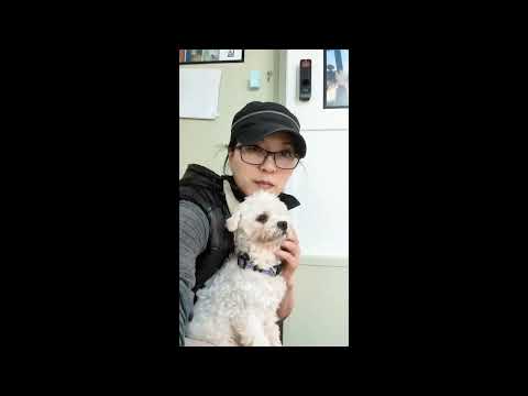 Adopt Titi 2