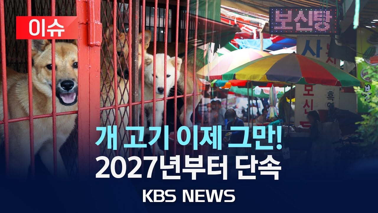 [이슈] '개 식용 금지' 특별법 올해 안에 추진…2027년부터 도살·유통·판매 단속/2023년 11월 18일(토)/KBS