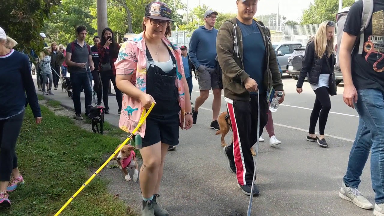 Freedom Walk 2019