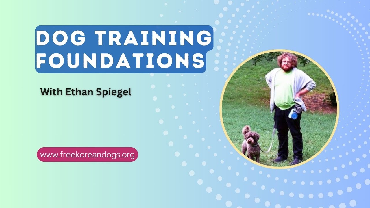 Live Webinar: Dog Training Foundations with Ethan Spiegel