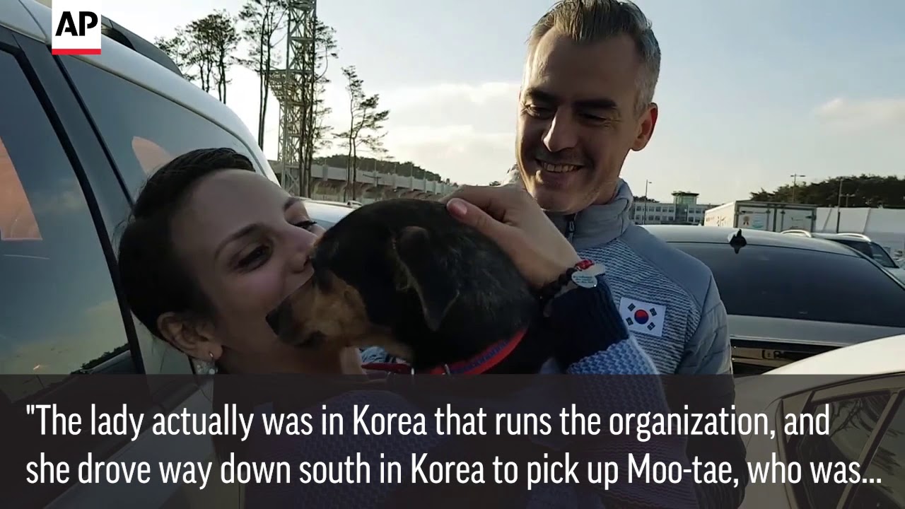 Canadian Olympian Rescuing Pups From Korean Dog Meat Trade