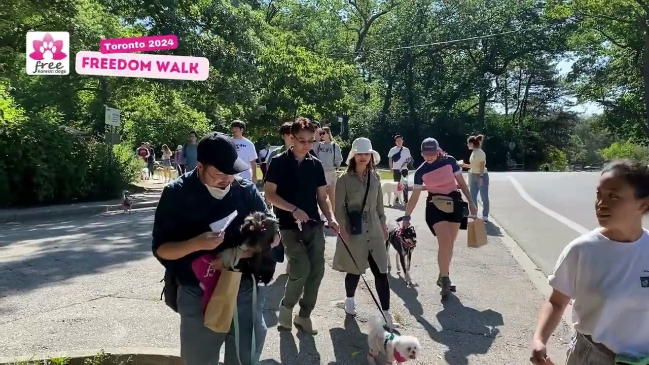 Toronto Freedom walk