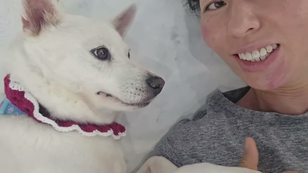 Adopt Wooyoo 2