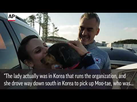 Canadian Olympian Rescuing Pups From Korean Dog Meat Trade