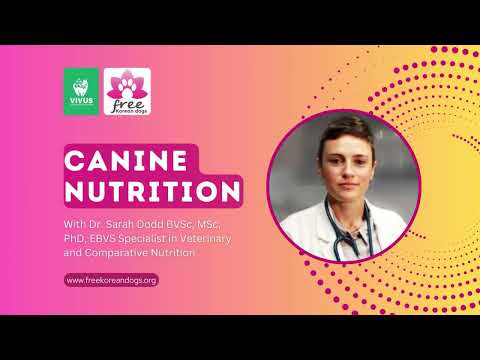 Live Webinar: Canine Nutrition with Dr. Sarah Dodd