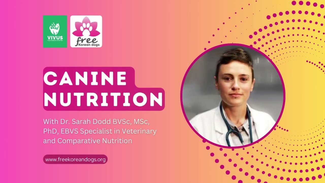 Live Webinar: Canine Nutrition with Dr. Sarah Dodd
