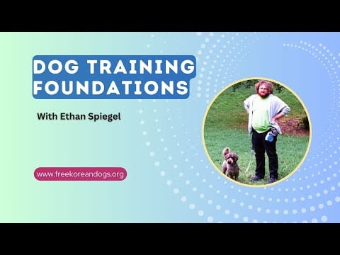 Live Webinar: Dog Training Foundations with Ethan Spiegel