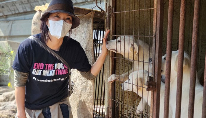 EK, FKD executive director, at the dog meat farm.