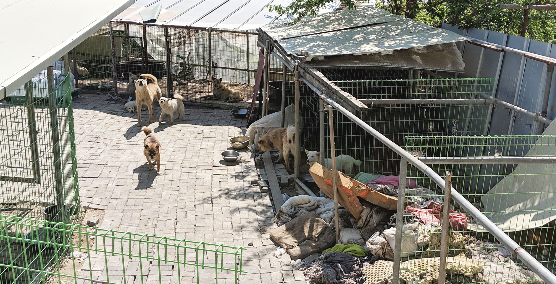 A Shelter In Korea 13