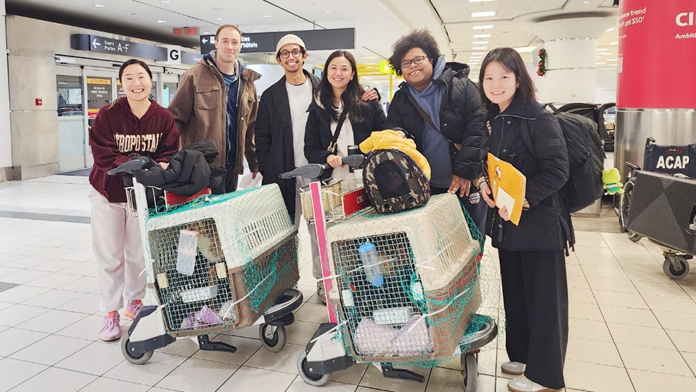 Adopters meet their new Korean rescue dogs at Pearson Airport