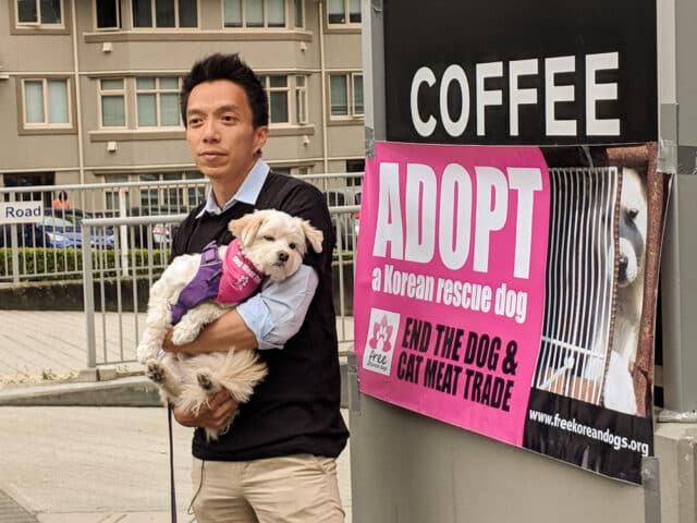 Adoption Event Vancouver 2018