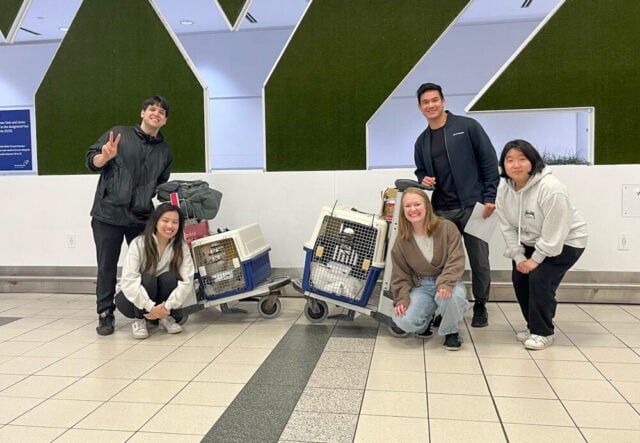 April 29 toronto arrival