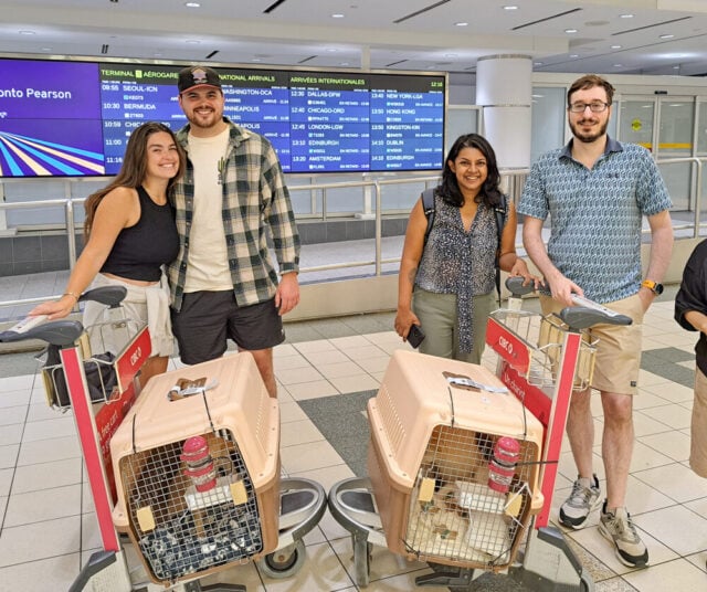 Aug 4 toronto arrival