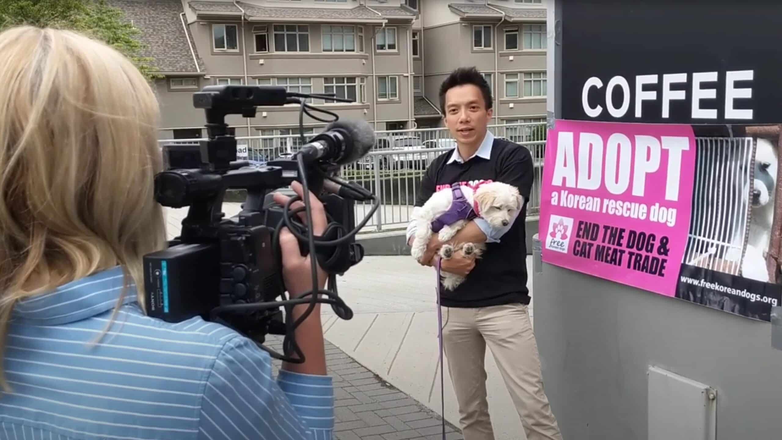 CityNews Interviews Willam Yang of Free Korean Dogs