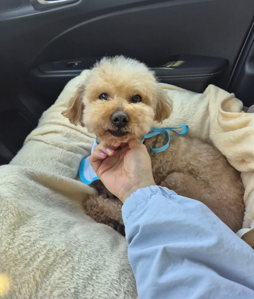 Benny