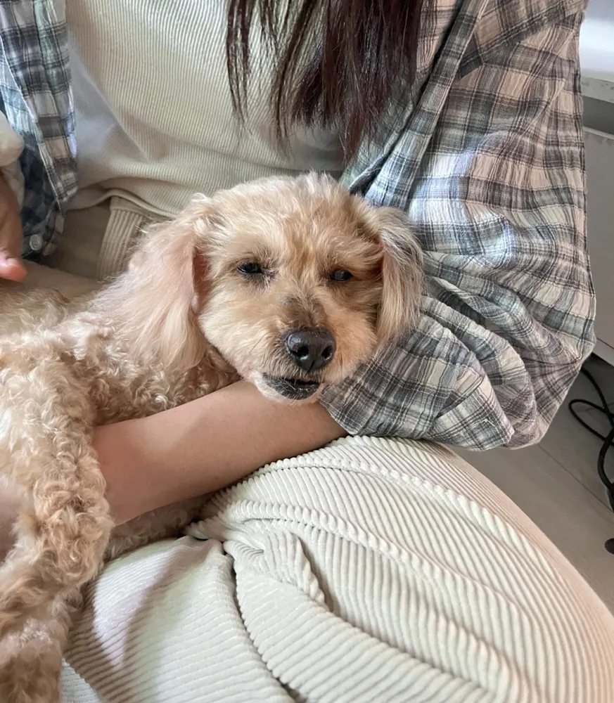 Benny