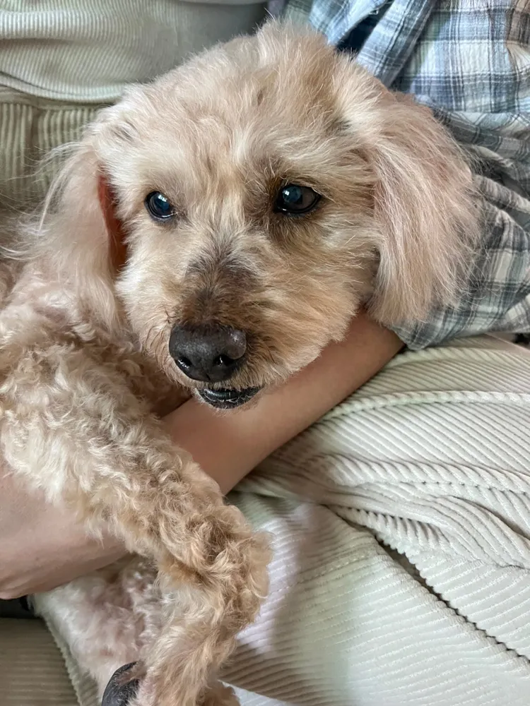 Benny