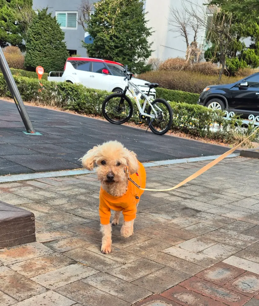 Benny