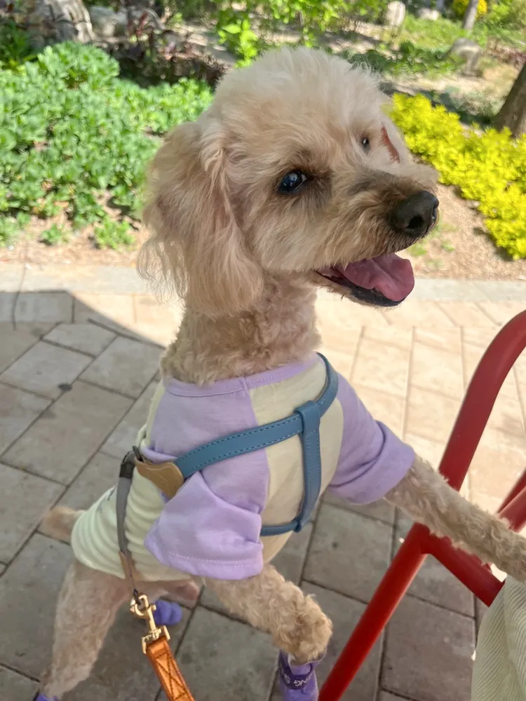 Benny