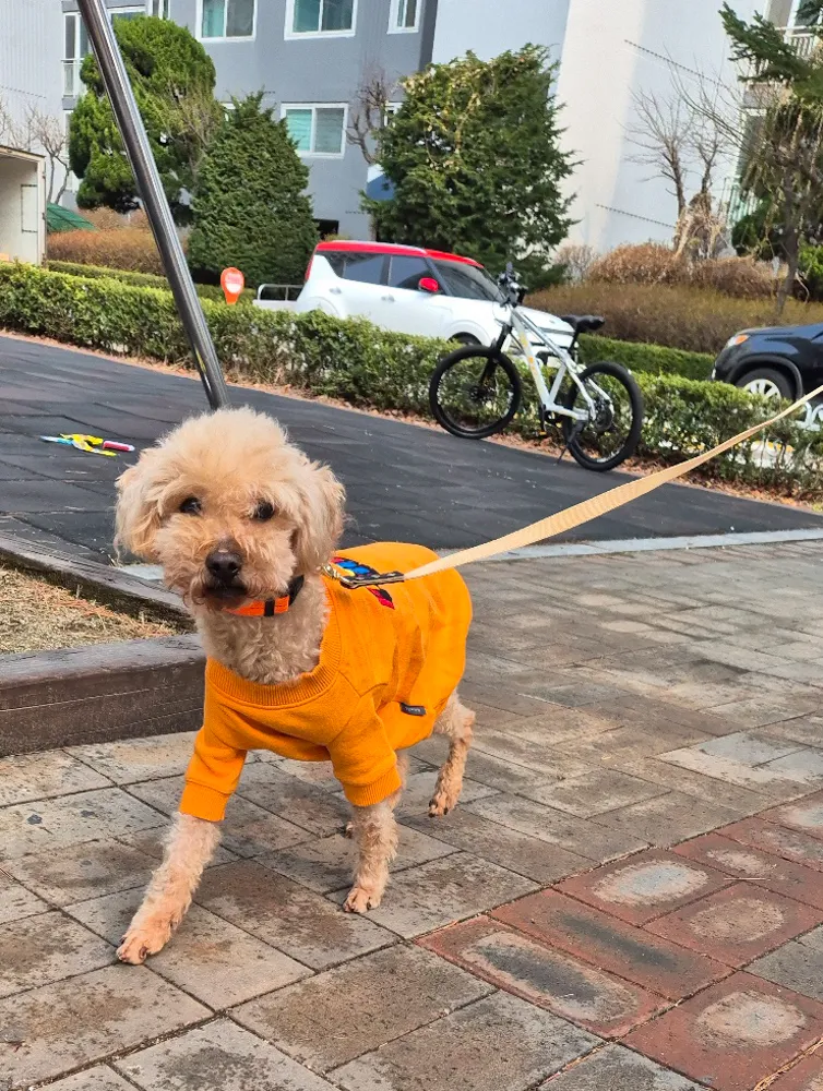 Benny