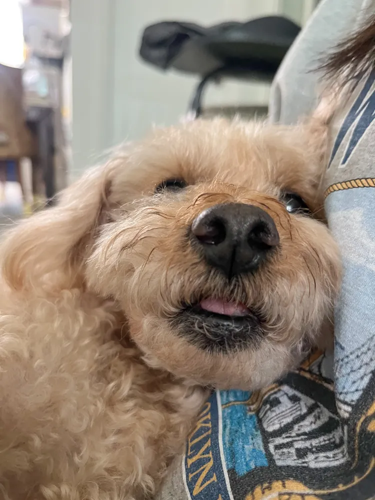 Benny