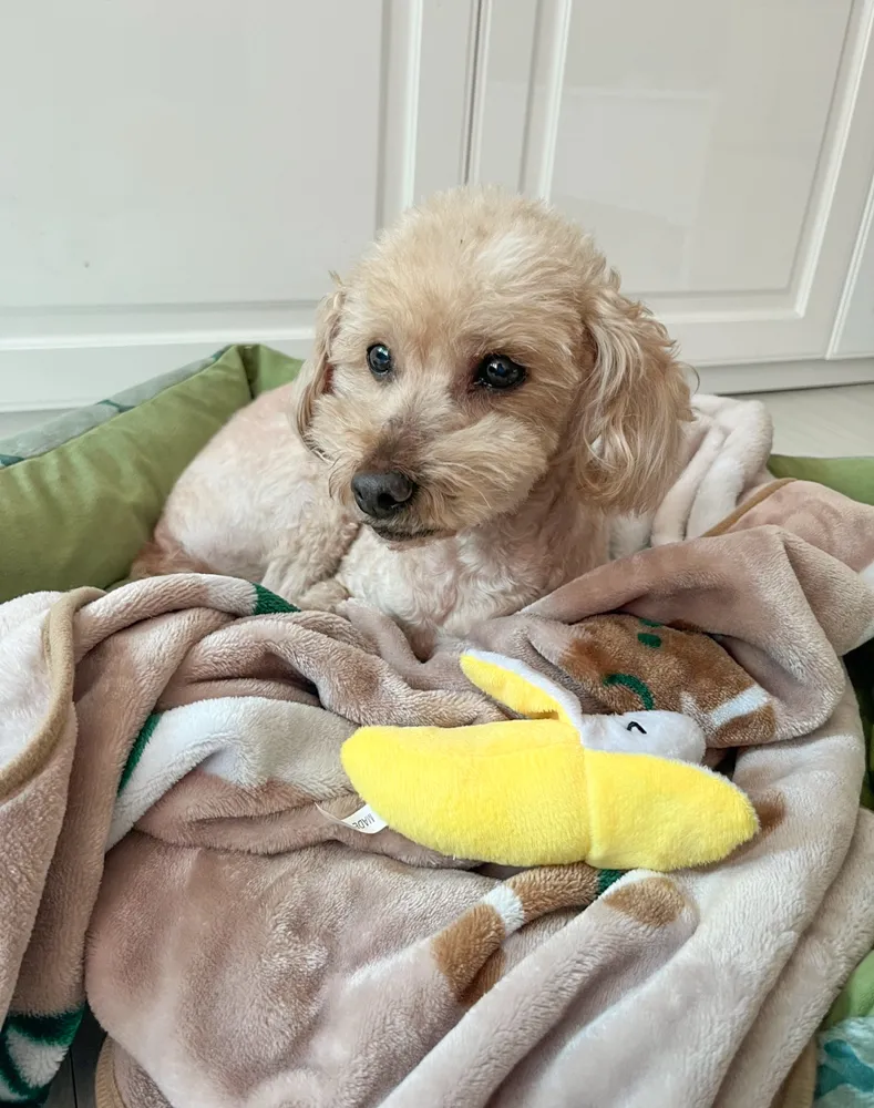 Benny