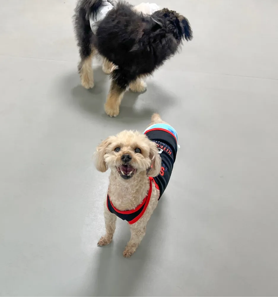 Benny
