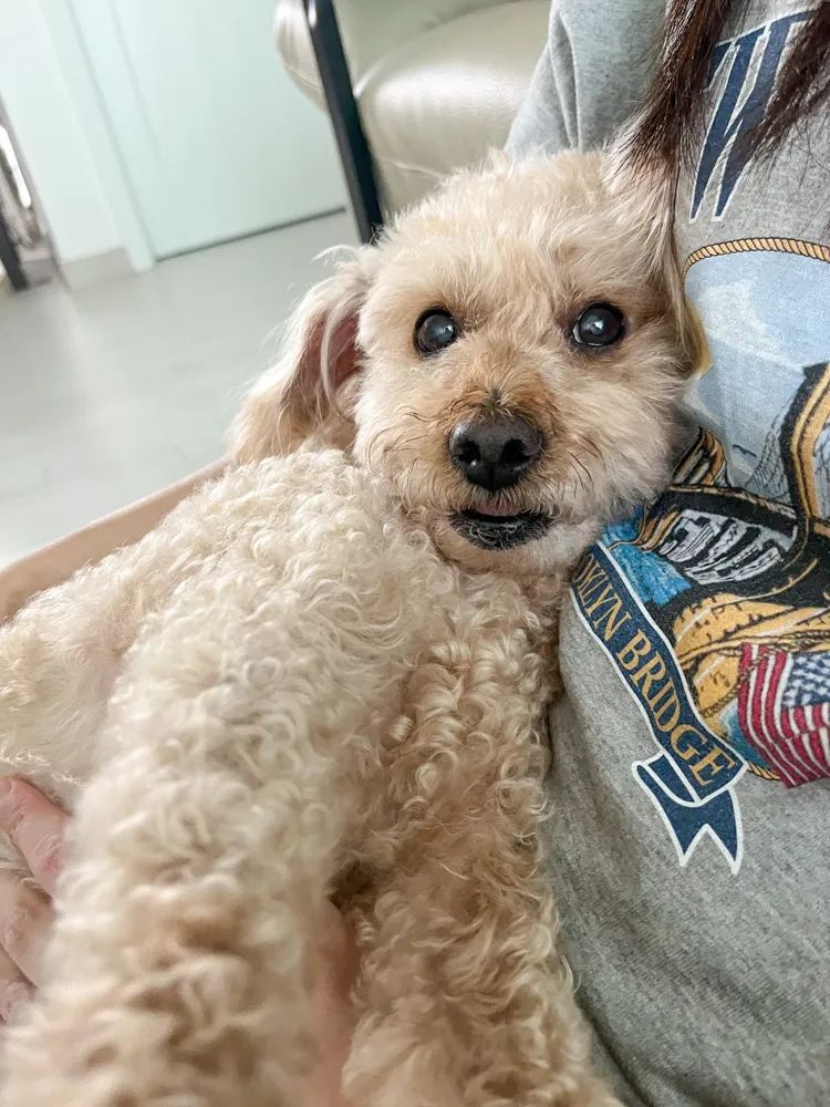 Benny