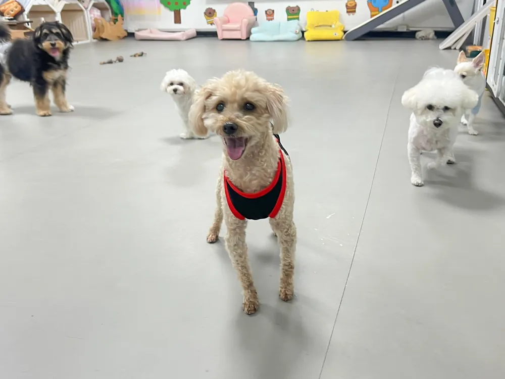 Benny