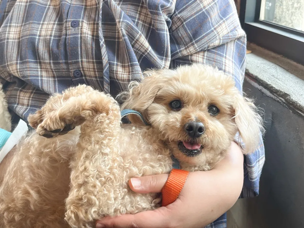 Benny