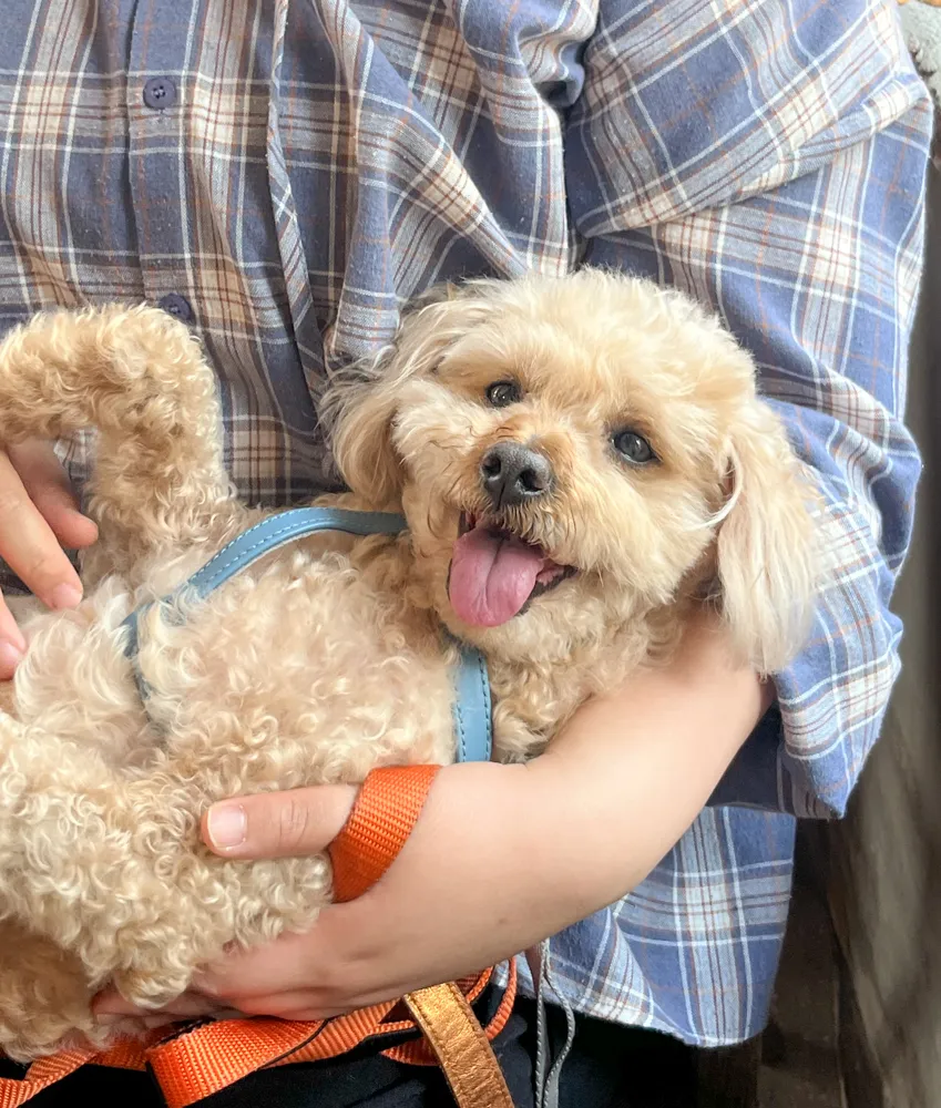 Benny