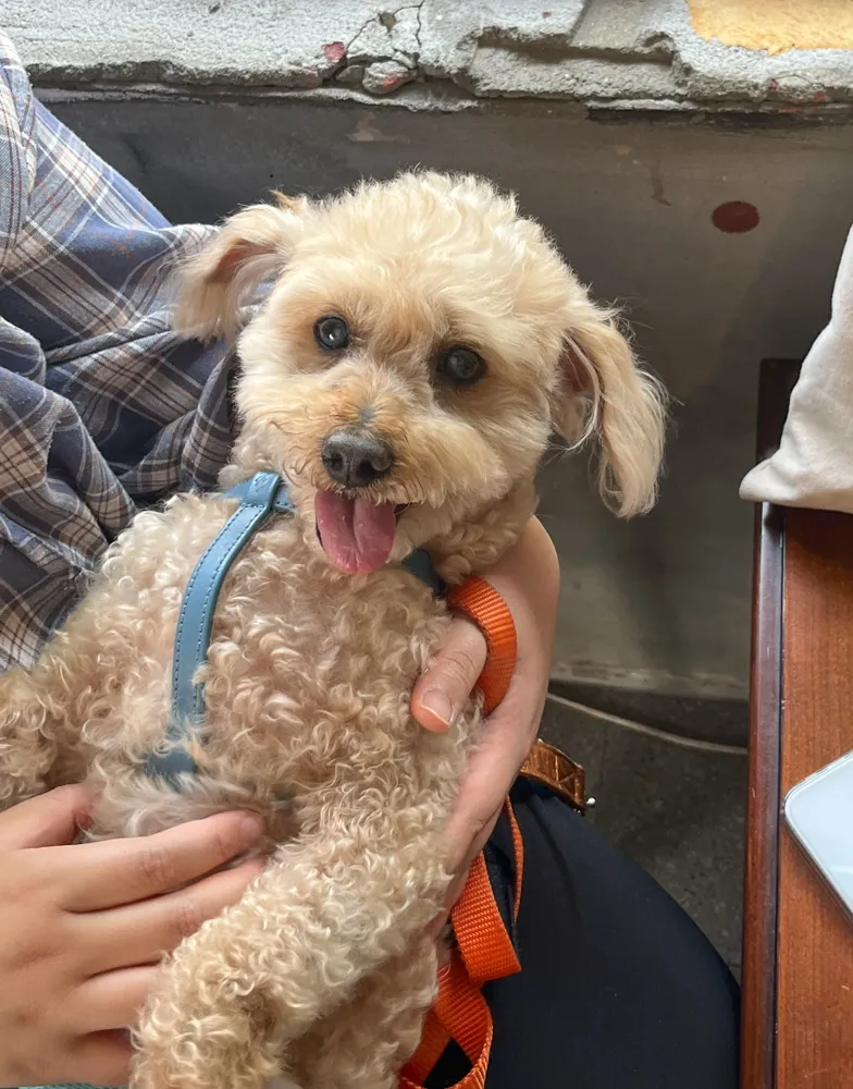 Benny