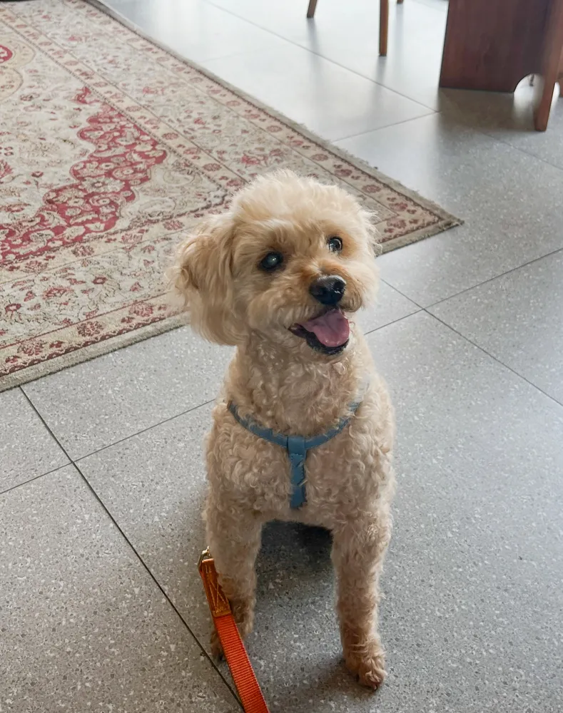 Benny