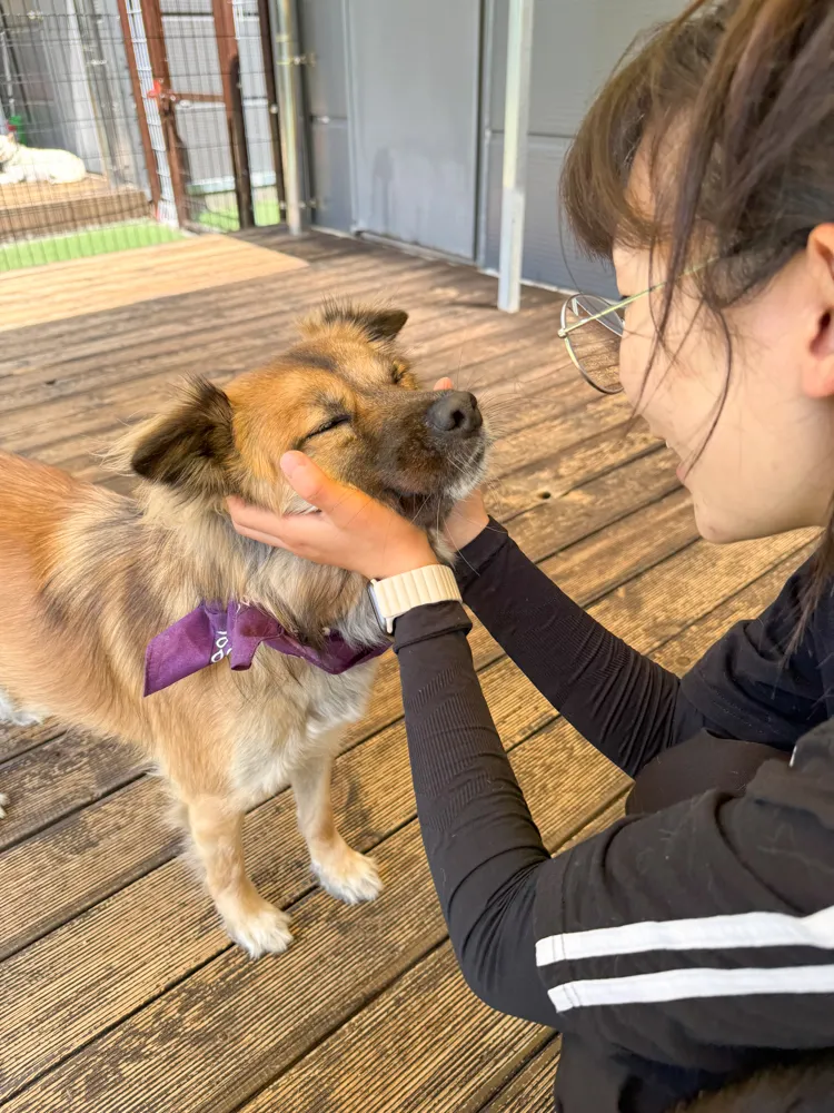 Choice
