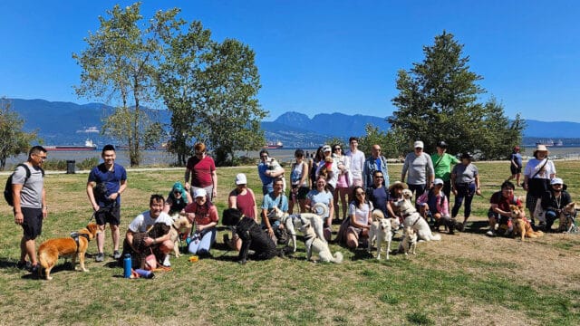 FKD community members gather with their dogs for an event