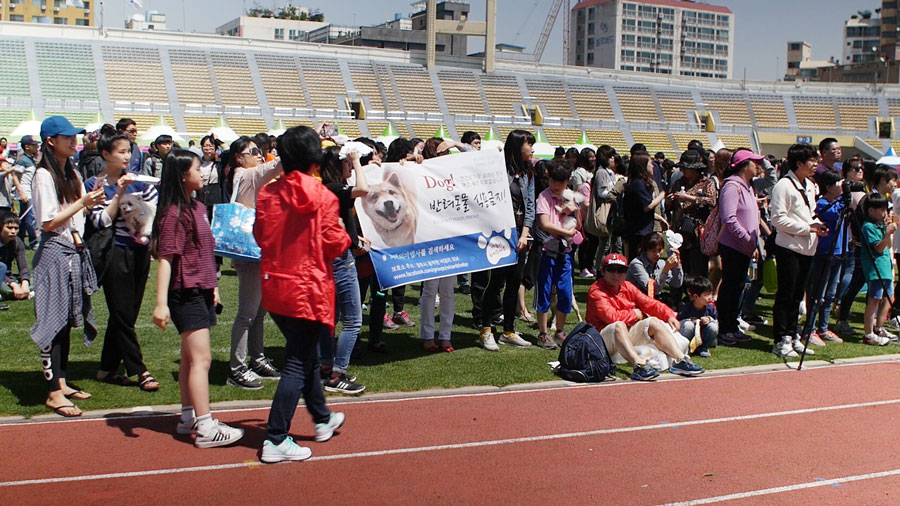 Demonstration against the dog meat trade in Korea.