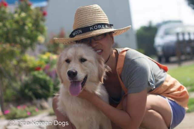 Ek Park And Jeonju Rescue Dog