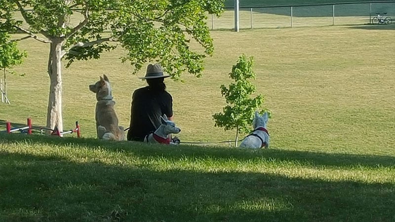 EK Park with her babies, Tavish, Hamish, and Samsoon