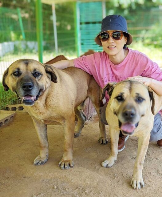 Ek With Our Dosa Dogs