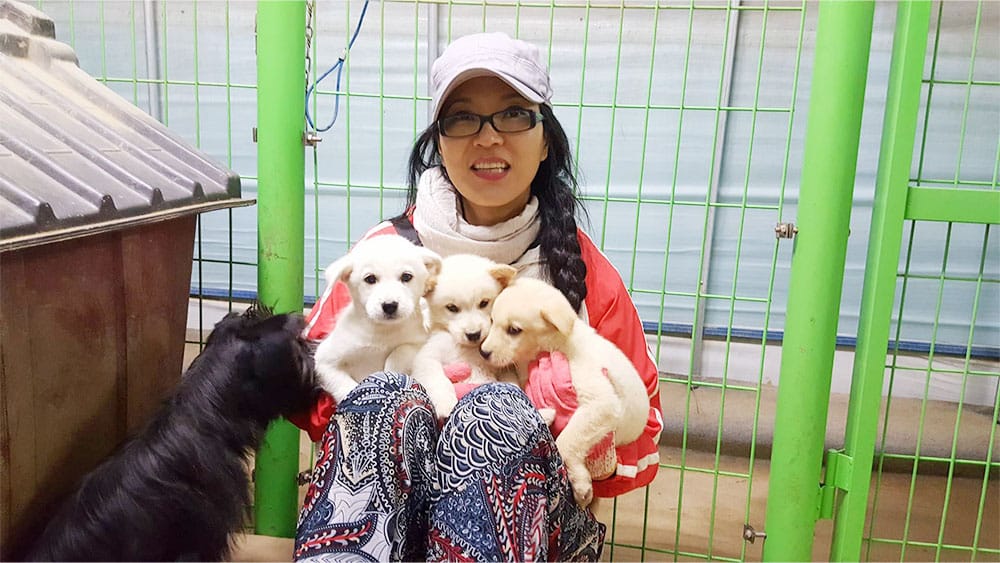 Ek With Rescue Puppies In Korea