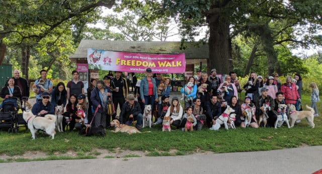 Freedom Walk 2019